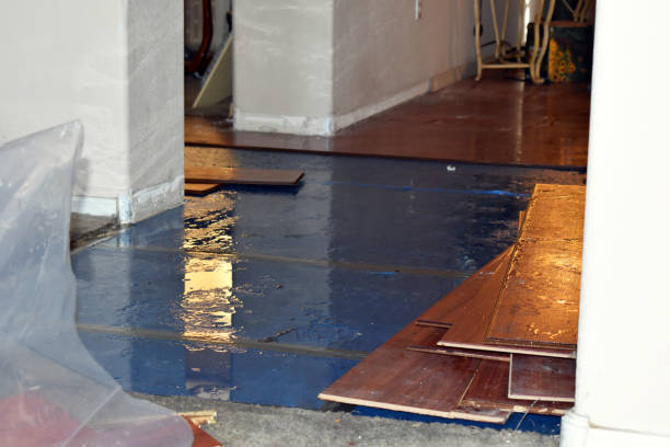 Professional Crawl Space Water Removal technician working in Bethpage, NY